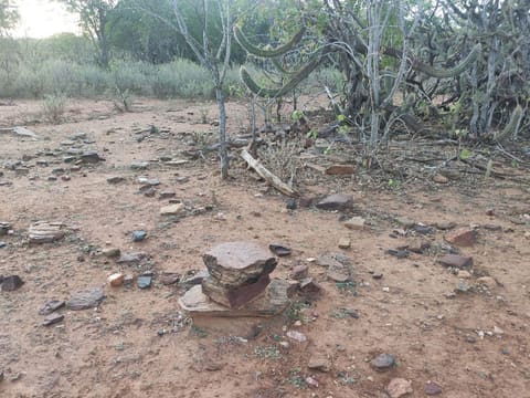 Chão de terra com pedras soltas e uma pilha de pedras; ao fundo, mandacarus e arbustos secos.